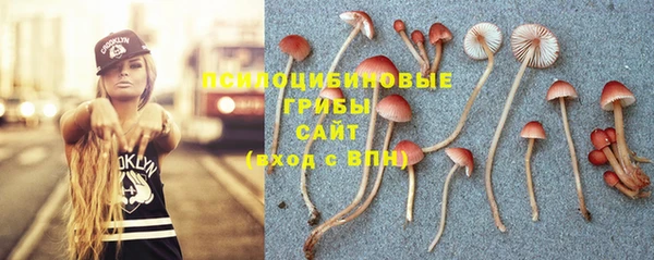 MDMA Premium VHQ Михайловка