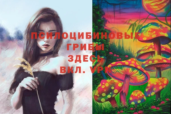 MDMA Premium VHQ Михайловка