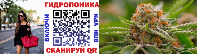 Купить Кандалакша Канабис OG Kush